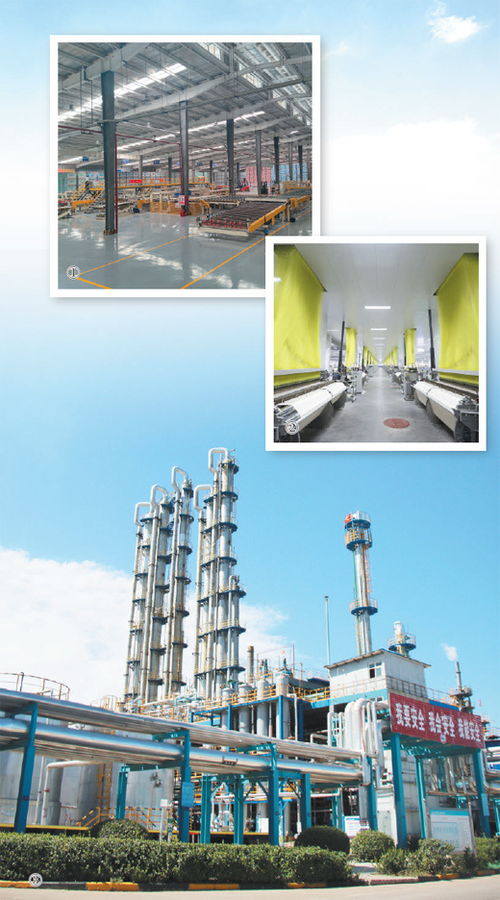 綠色轉(zhuǎn)型賦能產(chǎn)業(yè)新生 以技術(shù)推廣深入推進(jìn)新型工業(yè)化的深度觀察