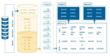 雅森科技陳暉 十年求索，探路醫(yī)療AI的上海實(shí)踐與需求邊界